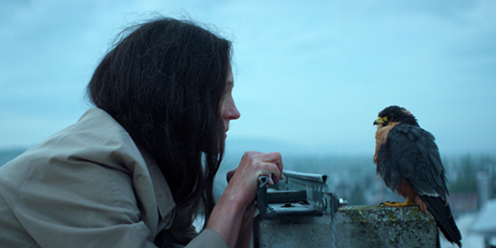 Tickets Chaos und Stille, Kino in Eberswalde